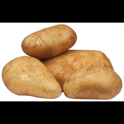 Saatkartoffeln Bio Charl. 1 kg